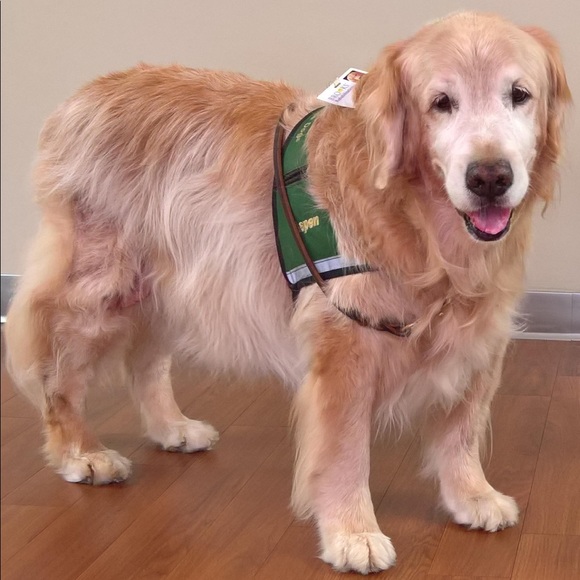 Meet your Posher, Debbie - Picture 5 of 8